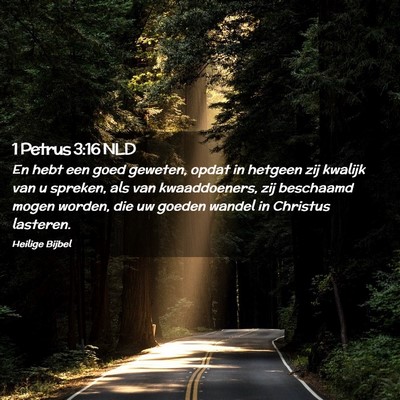 Picture 02 - 1 Petrus 3:16 NLD - En hebt een goed geweten, opdat in hetgeen zij - Bible Verse Picture