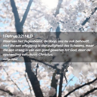 Picture 02 - 1 Petrus 3:21 NLD - Waarvan het tegenbeeld, de doop, ons nu ook - Bible Verse Picture