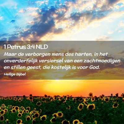 Picture 02 - 1 Petrus 3:4 NLD - Maar de verborgen mens des harten, in het - Bible Verse Picture