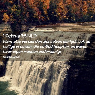 Picture 02 - 1 Petrus 3:5 NLD - Want alzo versierden zichzelven eertijds ook de - Bible Verse Picture