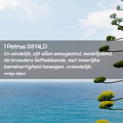 Picture 02 - 1 Petrus 3:8 NLD - En eindelijk, zijt allen eensgezind, medelijdend, - Bible Verse Picture
