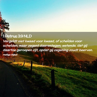 Picture 02 - 1 Petrus 3:9 NLD - Vergeldt niet kwaad voor kwaad, of schelden voor - Bible Verse Picture
