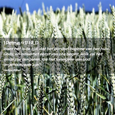 Picture 02 - 1 Petrus 4:17 NLD - Want het is de tijd, dat het oordeel beginne van - Bible Verse Picture