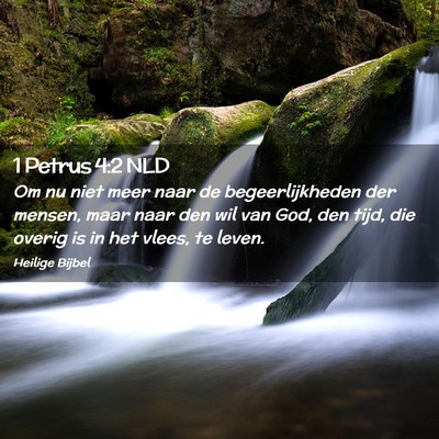 Picture 02 - 1 Petrus 4:2 NLD - Om nu niet meer naar de begeerlijkheden der - Bible Verse Picture