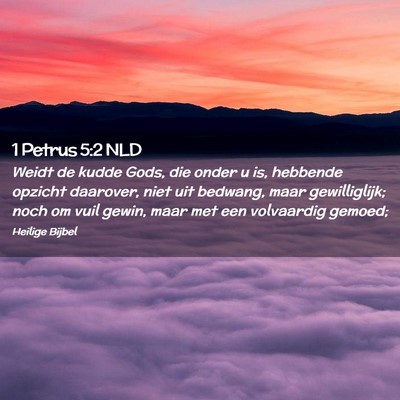 Picture 02 - 1 Petrus 5:2 NLD - Weidt de kudde Gods, die onder u is, hebbende - Bible Verse Picture