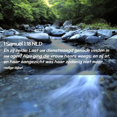 Picture 02 - 1 Samuël 1:18 NLD - En zij zeide: Laat uw dienstmaagd genade vinden - Bible Verse Picture