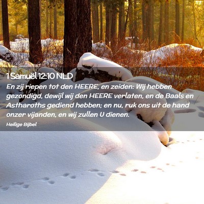Picture 02 - 1 Samuël 12:10 NLD - En zij riepen tot den HEERE, en zeiden: Wij - Bible Verse Picture