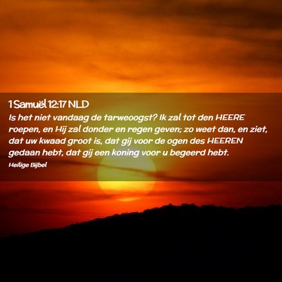 Picture 02 - 1 Samuël 12:17 NLD - Is het niet vandaag de tarweoogst? Ik zal tot den - Bible Verse Picture