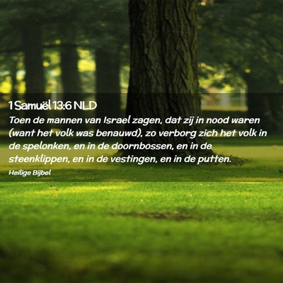 Picture 02 - 1 Samuël 13:6 NLD - Toen de mannen van Israel zagen, dat zij in nood - Bible Verse Picture