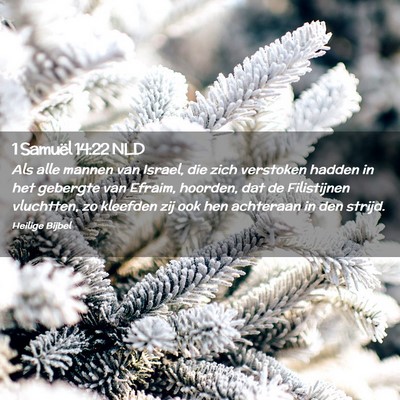 Picture 02 - 1 Samuël 14:22 NLD - Als alle mannen van Israel, die zich verstoken - Bible Verse Picture