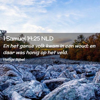 Picture 02 - 1 Samuël 14:25 NLD - En het ganse volk kwam in een woud; en daar was - Bible Verse Picture