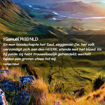 Picture 02 - 1 Samuël 14:33 NLD - En men boodschapte het Saul, zeggende: Zie, het - Bible Verse Picture
