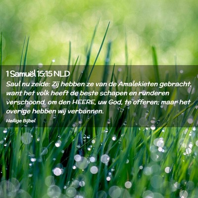 Picture 02 - 1 Samuël 15:15 NLD - Saul nu zeide: Zij hebben ze van de Amalekieten - Bible Verse Picture