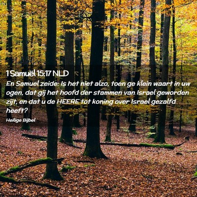 Picture 02 - 1 Samuël 15:17 NLD - En Samuel zeide: Is het niet alzo, toen ge klein - Bible Verse Picture