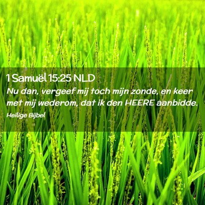 Picture 02 - 1 Samuël 15:25 NLD - Nu dan, vergeef mij toch mijn zonde, en keer met - Bible Verse Picture
