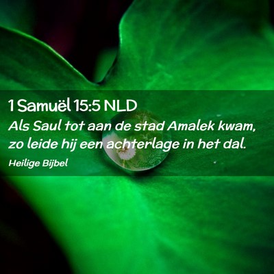 Picture 02 - 1 Samuël 15:5 NLD - Als Saul tot aan de stad Amalek kwam, zo leide - Bible Verse Picture