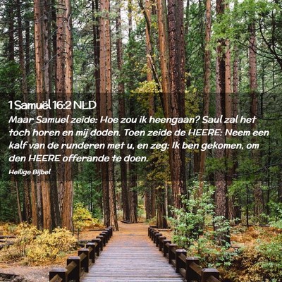 Picture 02 - 1 Samuël 16:2 NLD - Maar Samuel zeide: Hoe zou ik heengaan? Saul zal - Bible Verse Picture