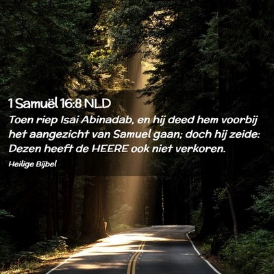 Picture 02 - 1 Samuël 16:8 NLD - Toen riep Isai Abinadab, en hij deed hem voorbij - Bible Verse Picture