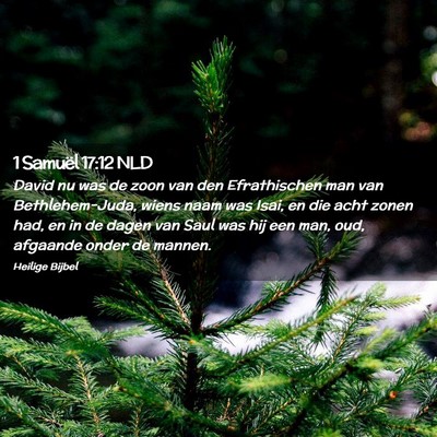 Picture 02 - 1 Samuël 17:12 NLD - David nu was de zoon van den Efrathischen man van - Bible Verse Picture