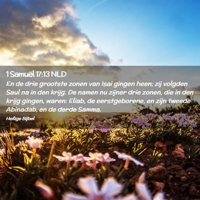 Picture 02 - 1 Samuël 17:13 NLD - En de drie grootste zonen van Isai gingen heen; - Bible Verse Picture