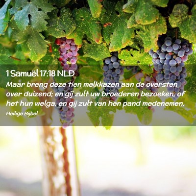 Picture 02 - 1 Samuël 17:18 NLD - Maar breng deze tien melkkazen aan de oversten - Bible Verse Picture