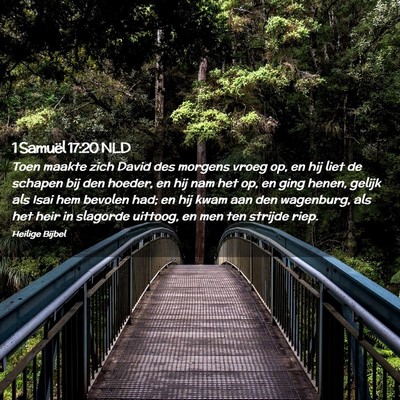 Picture 02 - 1 Samuël 17:20 NLD - Toen maakte zich David des morgens vroeg op, en - Bible Verse Picture