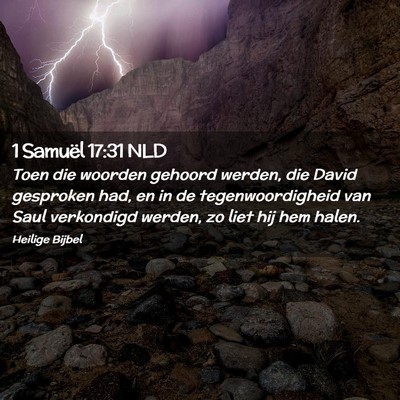 Picture 02 - 1 Samuël 17:31 NLD - Toen die woorden gehoord werden, die David - Bible Verse Picture