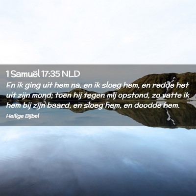 Picture 02 - 1 Samuël 17:35 NLD - En ik ging uit hem na, en ik sloeg hem, en redde - Bible Verse Picture
