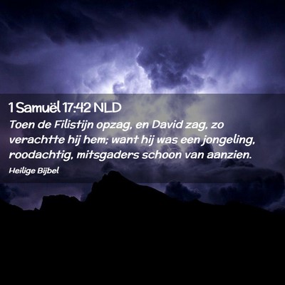 Picture 02 - 1 Samuël 17:42 NLD - Toen de Filistijn opzag, en David zag, zo - Bible Verse Picture
