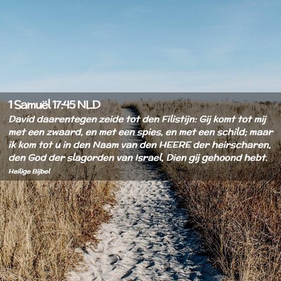 Picture 02 - 1 Samuël 17:45 NLD - David daarentegen zeide tot den Filistijn: Gij - Bible Verse Picture