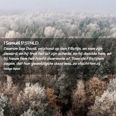 Picture 02 - 1 Samuël 17:51 NLD - Daarom liep David, en stond op den Filistijn, en - Bible Verse Picture