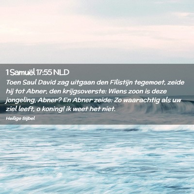 Picture 02 - 1 Samuël 17:55 NLD - Toen Saul David zag uitgaan den Filistijn - Bible Verse Picture