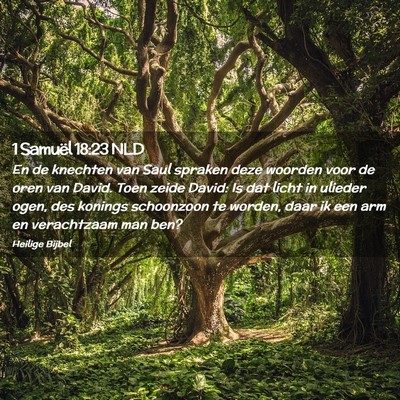 Picture 02 - 1 Samuël 18:23 NLD - En de knechten van Saul spraken deze woorden voor - Bible Verse Picture