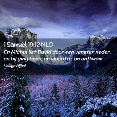 Picture 02 - 1 Samuël 19:12 NLD - En Michal liet David door een venster neder, en - Bible Verse Picture