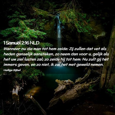Picture 02 - 1 Samuël 2:16 NLD - Wanneer nu die man tot hem zeide: Zij zullen dat - Bible Verse Picture