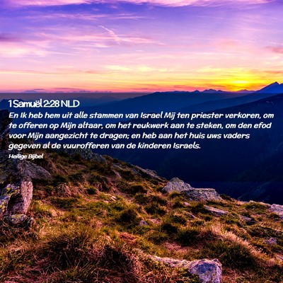 Picture 02 - 1 Samuël 2:28 NLD - En Ik heb hem uit alle stammen van Israel Mij ten - Bible Verse Picture