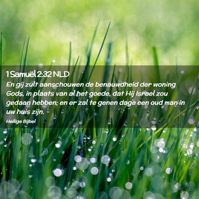 Picture 02 - 1 Samuël 2:32 NLD - En gij zult aanschouwen de benauwdheid der woning - Bible Verse Picture