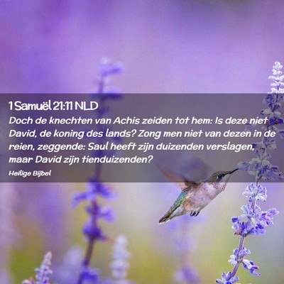 Picture 02 - 1 Samuël 21:11 NLD - Doch de knechten van Achis zeiden tot hem: Is - Bible Verse Picture
