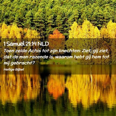Picture 02 - 1 Samuël 21:14 NLD - Toen zeide Achis tot zijn knechten: Ziet, gij - Bible Verse Picture