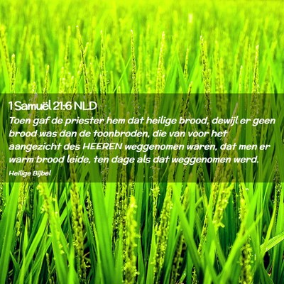 Picture 02 - 1 Samuël 21:6 NLD - Toen gaf de priester hem dat heilige brood, - Bible Verse Picture
