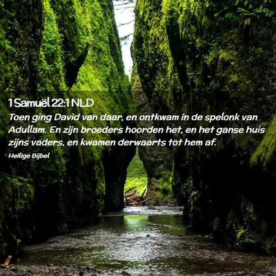 Picture 02 - 1 Samuël 22:1 NLD - Toen ging David van daar, en ontkwam in de - Bible Verse Picture