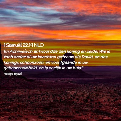 Picture 02 - 1 Samuël 22:14 NLD - En Achimelech antwoordde den koning en zeide: Wie - Bible Verse Picture