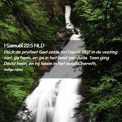 Picture 02 - 1 Samuël 22:5 NLD - Doch de profeet Gad zeide tot David: Blijf in de - Bible Verse Picture