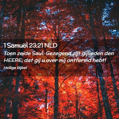 Picture 02 - 1 Samuël 23:21 NLD - Toen zeide Saul: Gezegend zijt gijlieden den - Bible Verse Picture