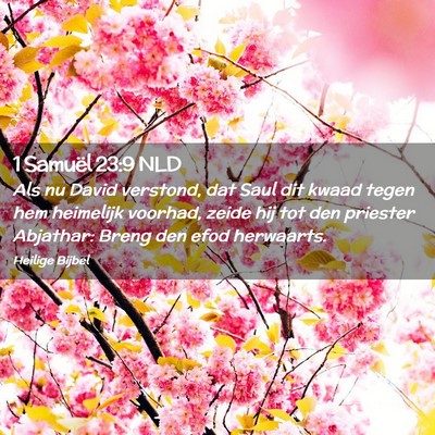 Picture 02 - 1 Samuël 23:9 NLD - Als nu David verstond, dat Saul dit kwaad tegen - Bible Verse Picture