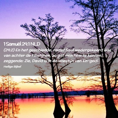 Picture 02 - 1 Samuël 24:1 NLD - (24:2) En het geschiedde, nadat Saul wedergekeerd - Bible Verse Picture