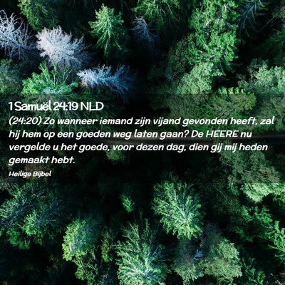 Picture 02 - 1 Samuël 24:19 NLD - (24:20) Zo wanneer iemand zijn vijand gevonden - Bible Verse Picture