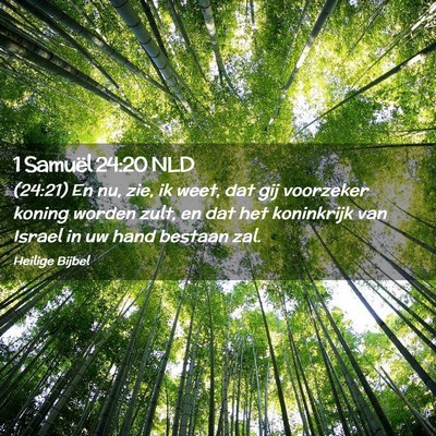 Picture 02 - 1 Samuël 24:20 NLD - (24:21) En nu, zie, ik weet, dat gij voorzeker - Bible Verse Picture