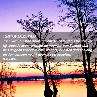Picture 02 - 1 Samuël 28:20 NLD - Toen viel Saul haastelijk ter aarde, zo lang als - Bible Verse Picture