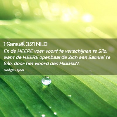 Picture 02 - 1 Samuël 3:21 NLD - En de HEERE voer voort te verschijnen te Silo; - Bible Verse Picture